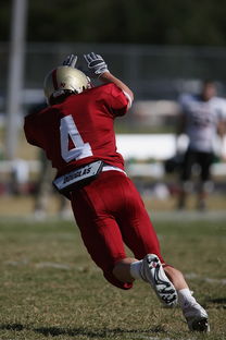 星空体育app-五大联赛球队是否有意控制比赛中界外球发球节奏,五大联赛允许几名外援 第3张